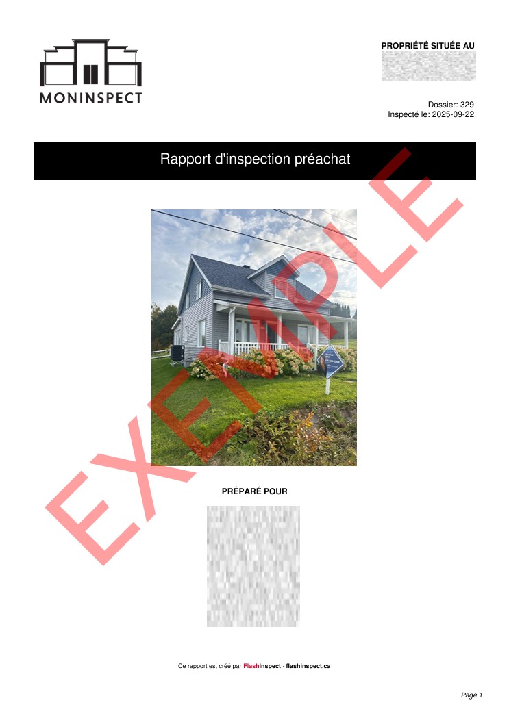 Exemple de rapport préachat